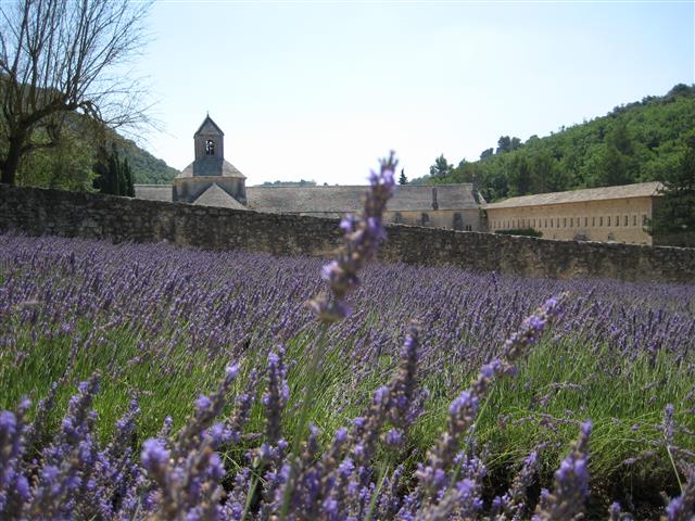 Sénanque Abbey